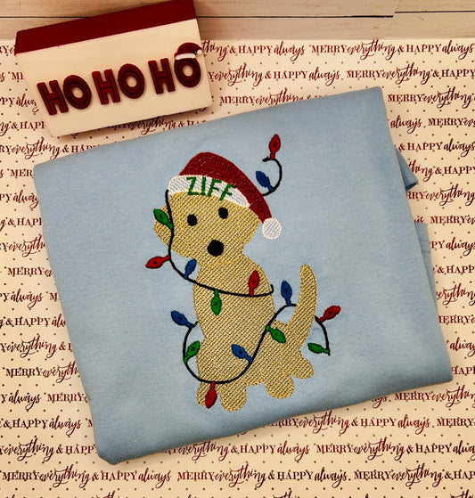 Dog with Santa Hat and Christmas lights